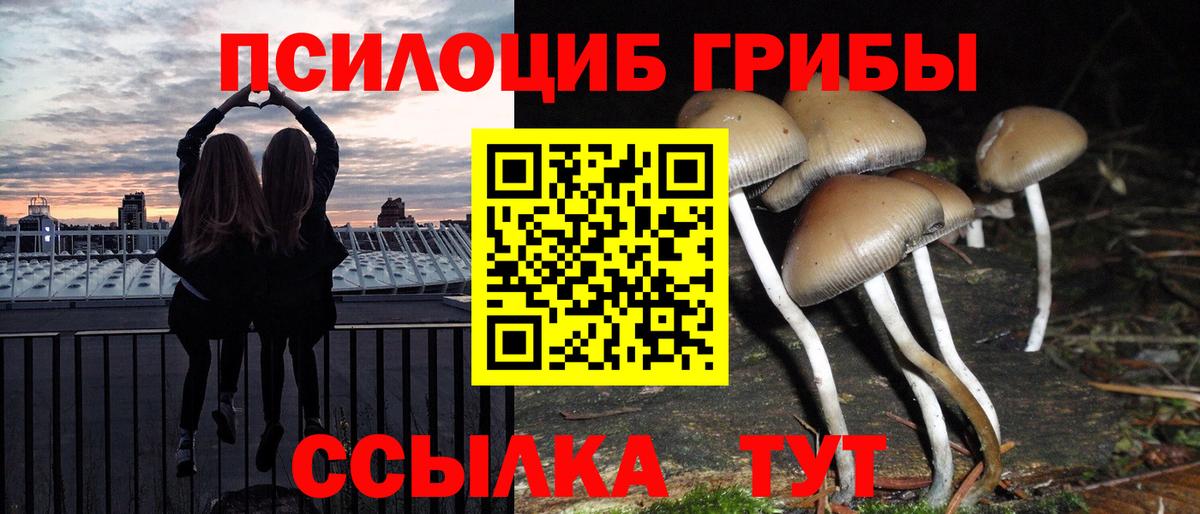Красный Сулин  Галлюциногенные грибы мицелий  Вход с VPN  Галлюциногенные грибы ЛСД 